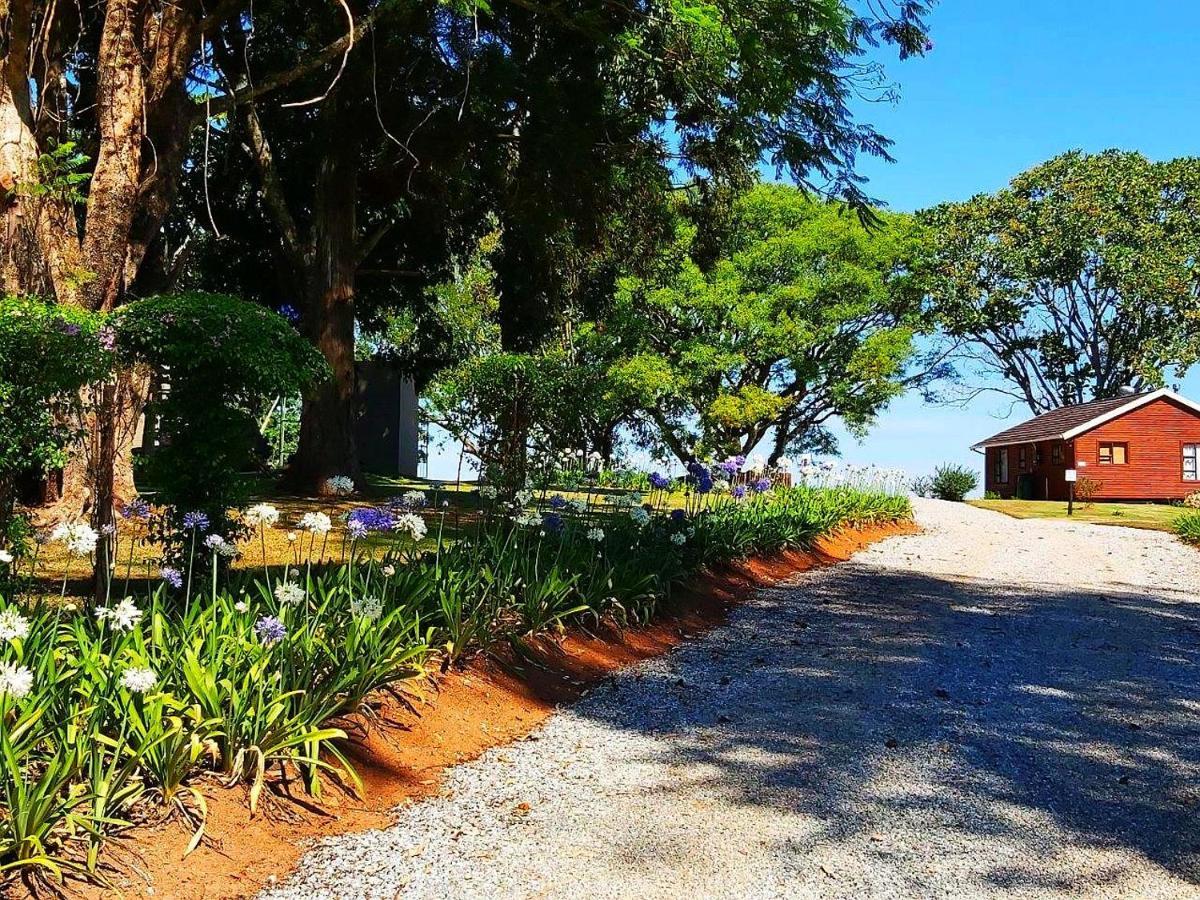 Forest View Cabins Tzaneen Bagian luar foto