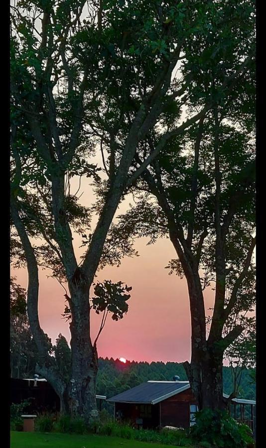 Forest View Cabins Tzaneen Bagian luar foto