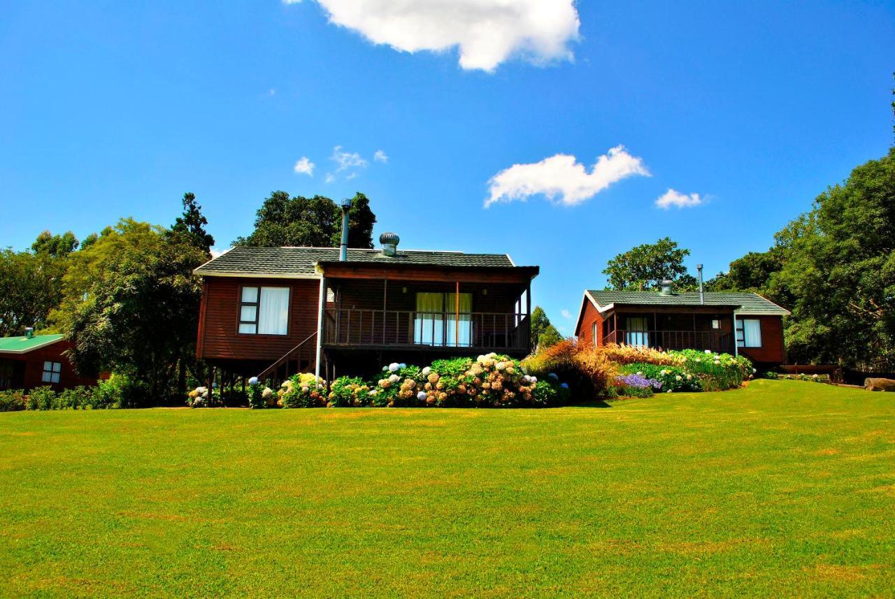 Forest View Cabins Tzaneen Bagian luar foto