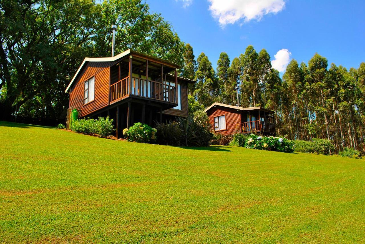 Forest View Cabins Tzaneen Bagian luar foto