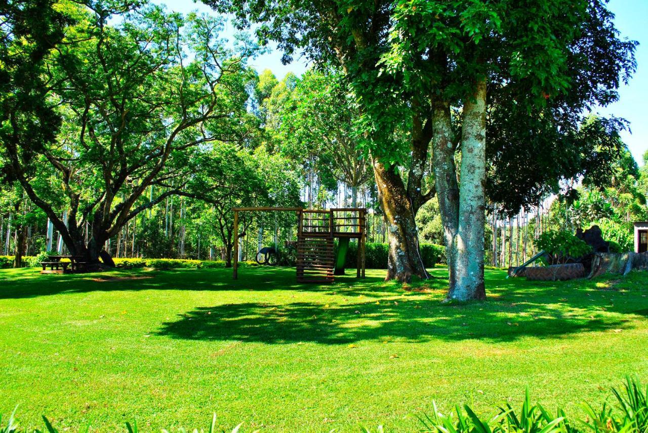 Forest View Cabins Tzaneen Bagian luar foto
