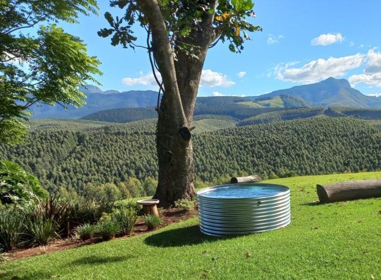Forest View Cabins Tzaneen Bagian luar foto